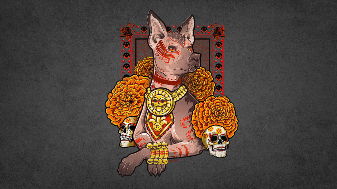 La Leyenda del Guardián del Mictlán: Xoloitzcuintli