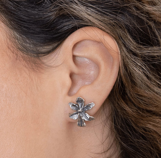 Venus Solidarity Jewelry Earrings