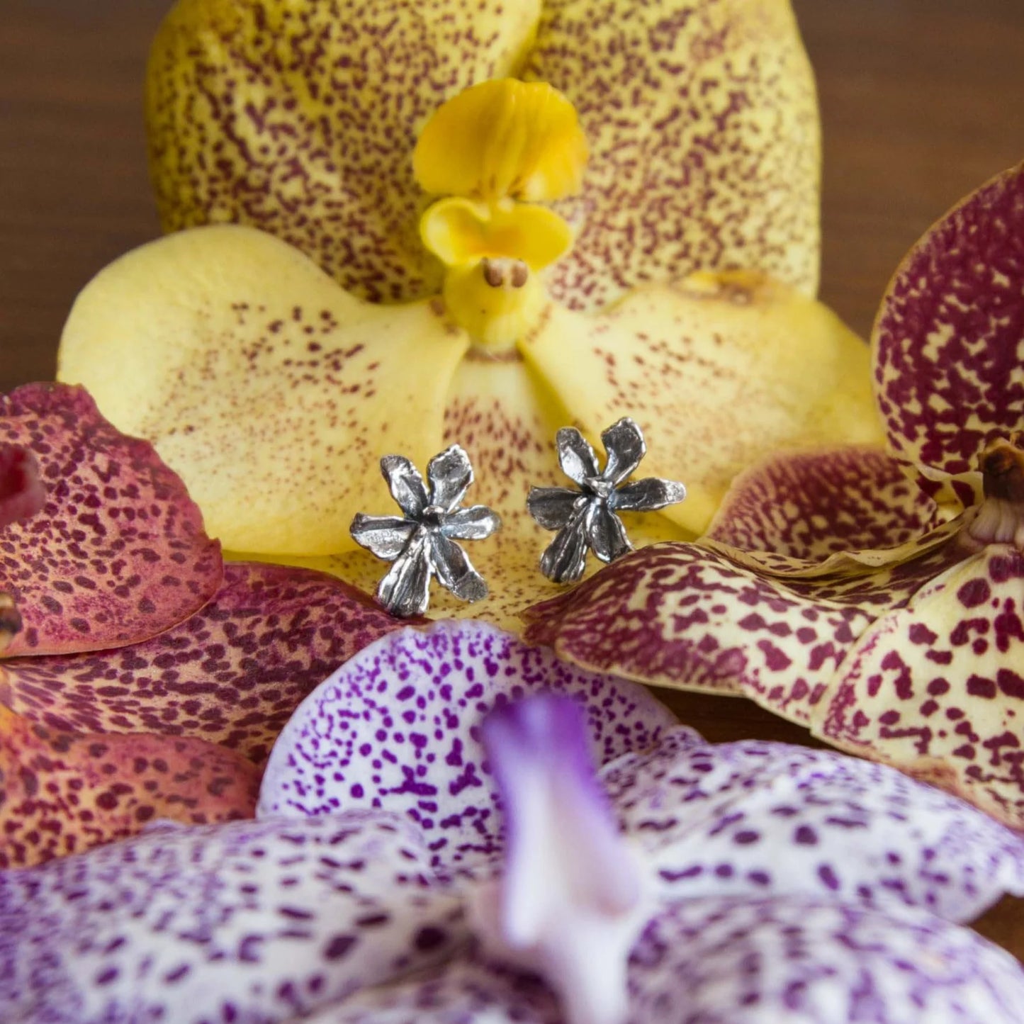 Venus Solidarity Jewelry Earrings