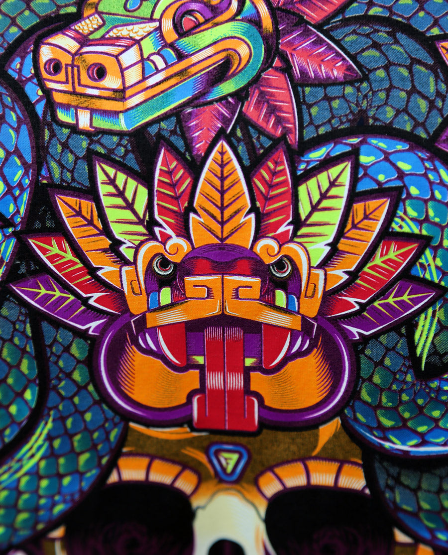 medusa-detalle-f2