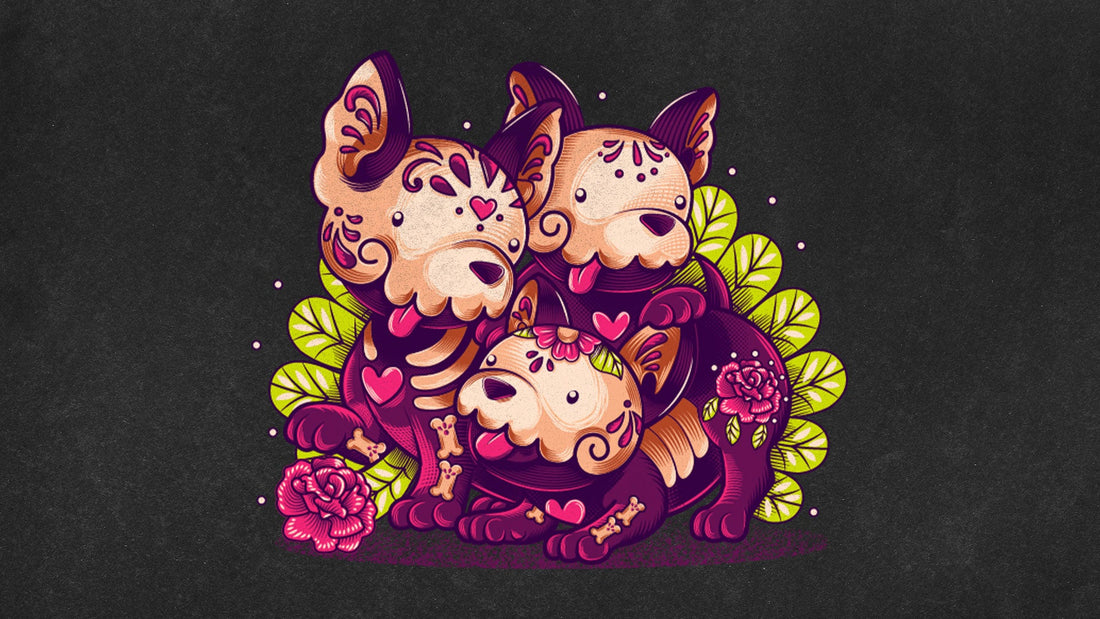 Xolitos: Los Pequeños Guardianes del Camino de Luz