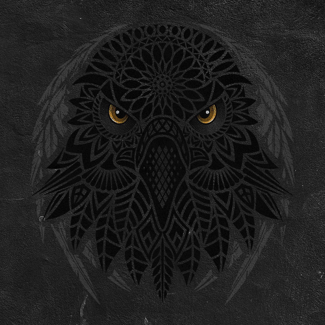 Playera de Hombre Bacaanda | Espíritu Salvaje del Desierto